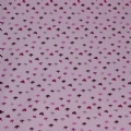 Κάκτοι ροζ-μωβ